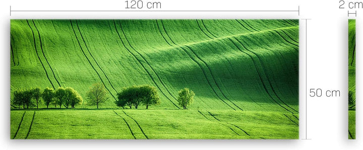 ge Bildet Bild auf Leinwand | Landschaftsbilder - green landscape - Tschechische Republik O in 120x5