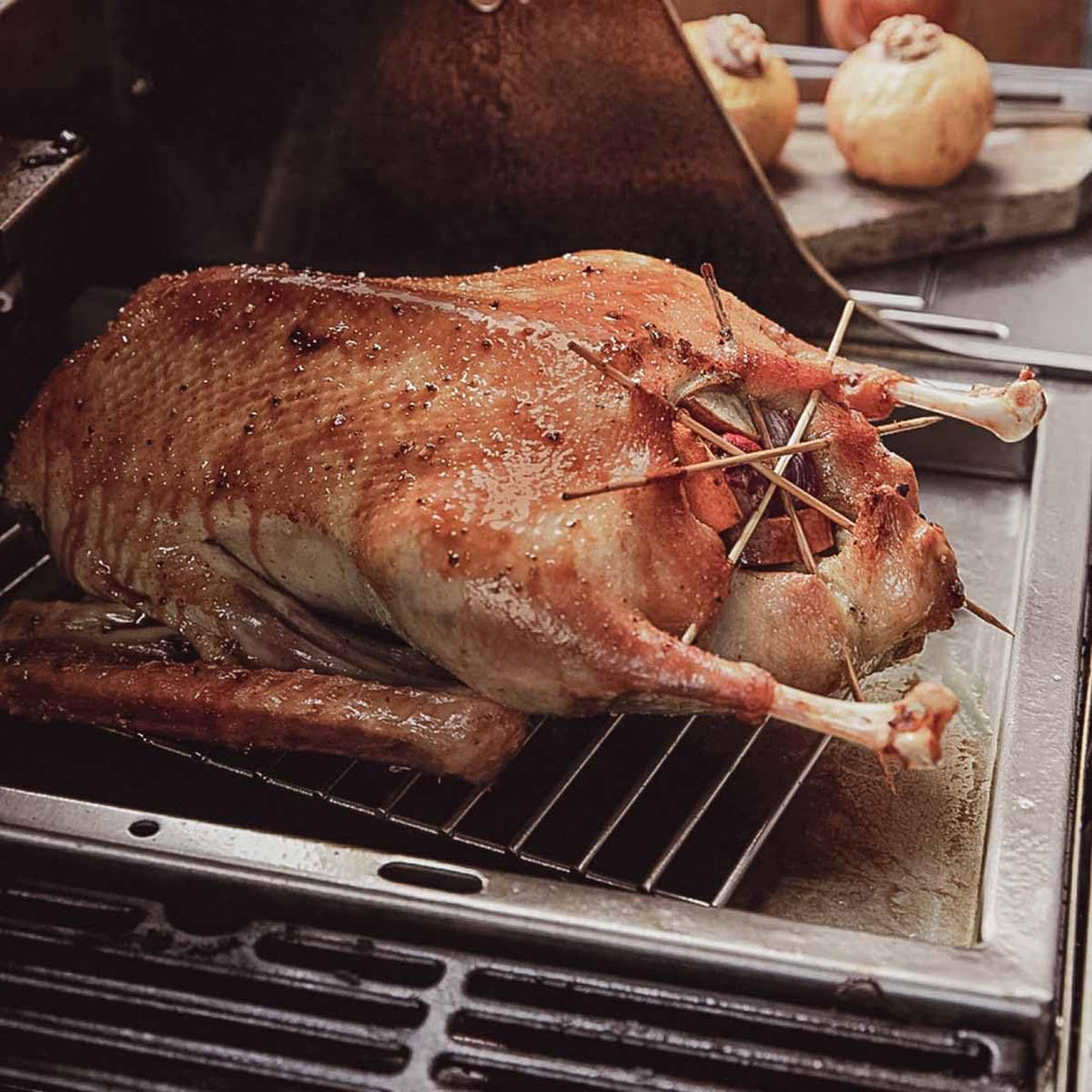 SANTOS einsetzbare Grillpfanne/Einsatzpfanne - Edelstahl Plancha - 31,5x48x4cm - versch Broil King R