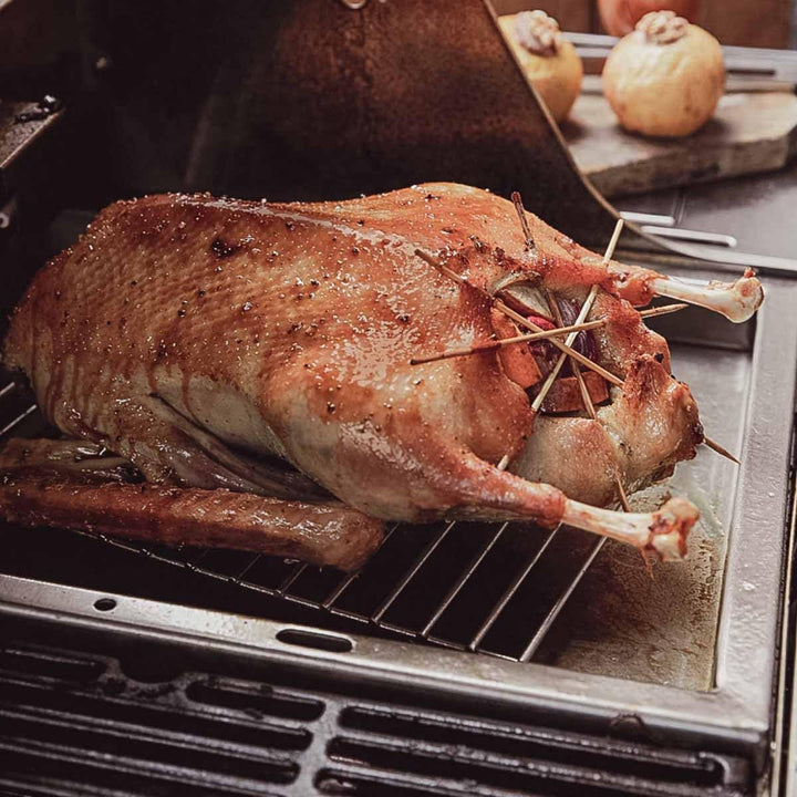 SANTOS einsetzbare Grillpfanne/Einsatzpfanne - Edelstahl Plancha - 31,5x48x4cm - versch Broil King R