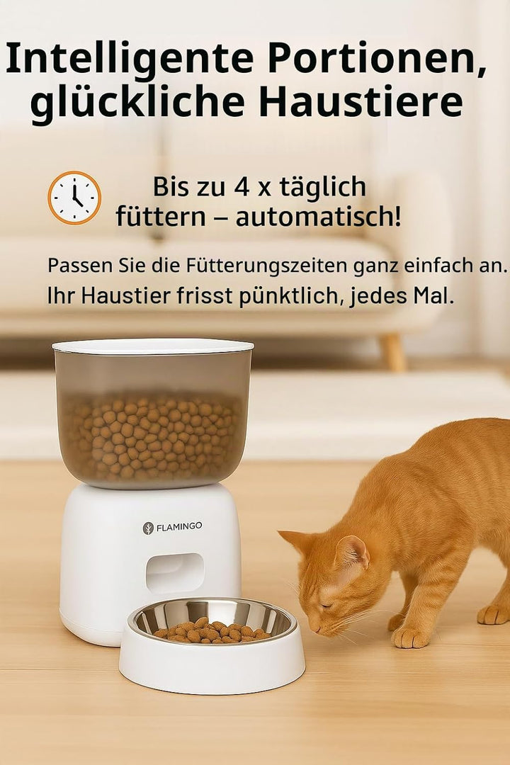 Futterautomat Katze - Futterautomat Hund - Futterautomat Katze Nassfutter - 3L Kapazität mit Timer u