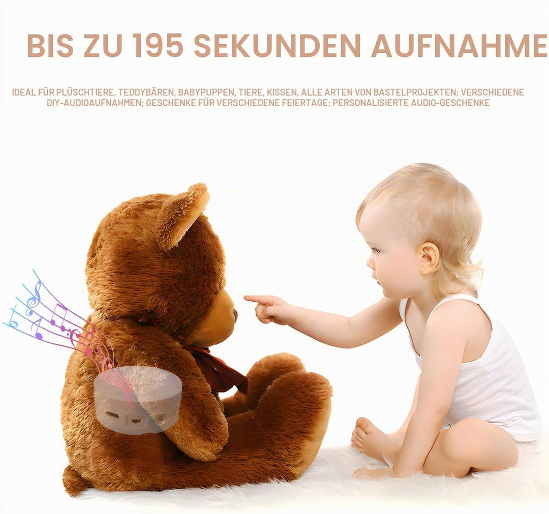 195 Sekunden Sprachaufzeichnung, Sound-Taste zum Aufzeichnen individueller Nachrichten für Bastelarb