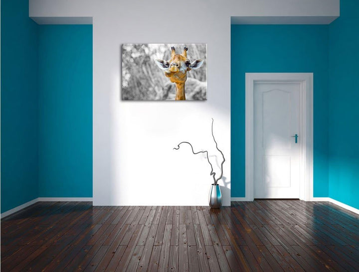 Pixxprint Giraffe in der Natur B&W Detail als Leinwandbild/Grösse: 100x70 cm/Wandbild/Kunstdruck/fer