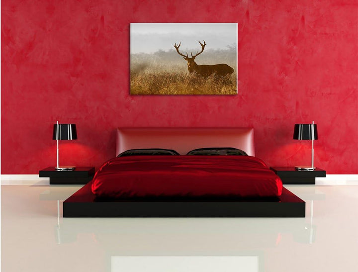 Pixxprint Rotwild Hirsch in Abenddämmerung als Leinwandbild/Grösse: 100x70 cm/Wandbild/Kunstdruck/fe