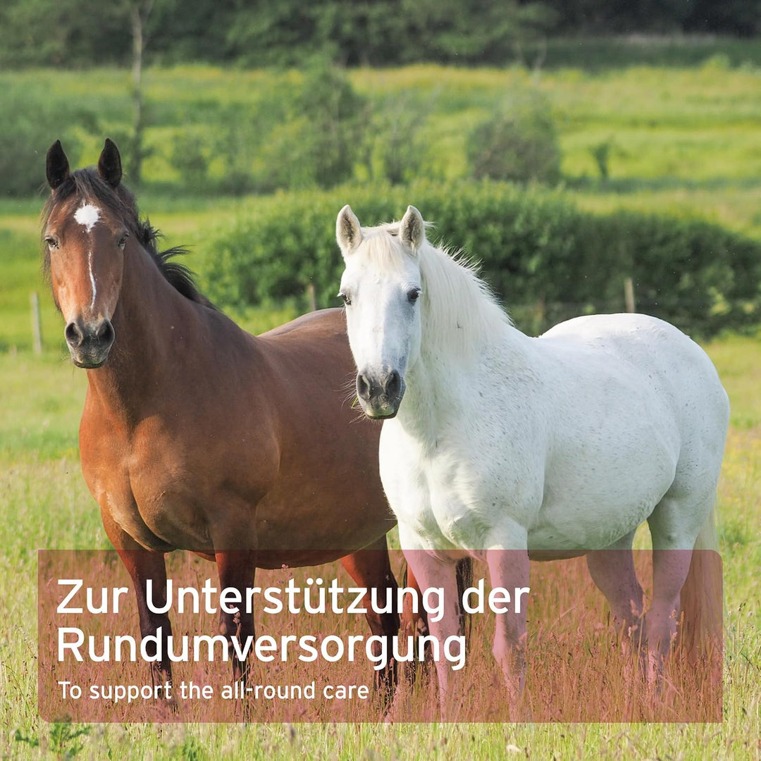 AniForte 4in1 Complete für Pferde 3kg - Natürliche Rundumversorgung mit Bierhefe BT, Hagebutte, Kies