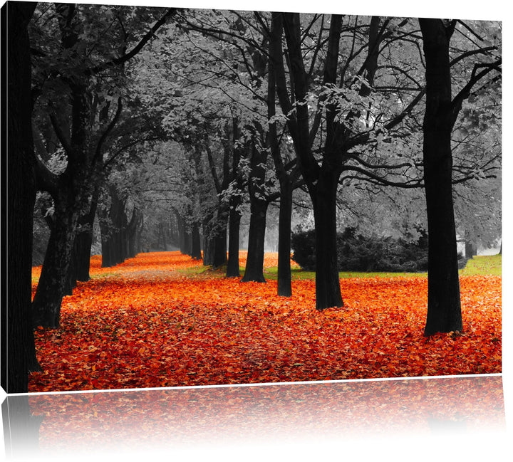 schöner Waldweg im Herbst schwarz/weiss Format: 100x70 auf Leinwand, XXL riesige Bilder fertig gerah