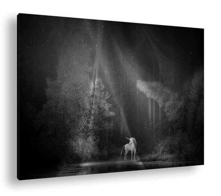 deyoli Einhorn auf einer Waldlichtung Format: 80x60 Effekt: Schwarz&Weiss als Leinwandbild, Motiv fe