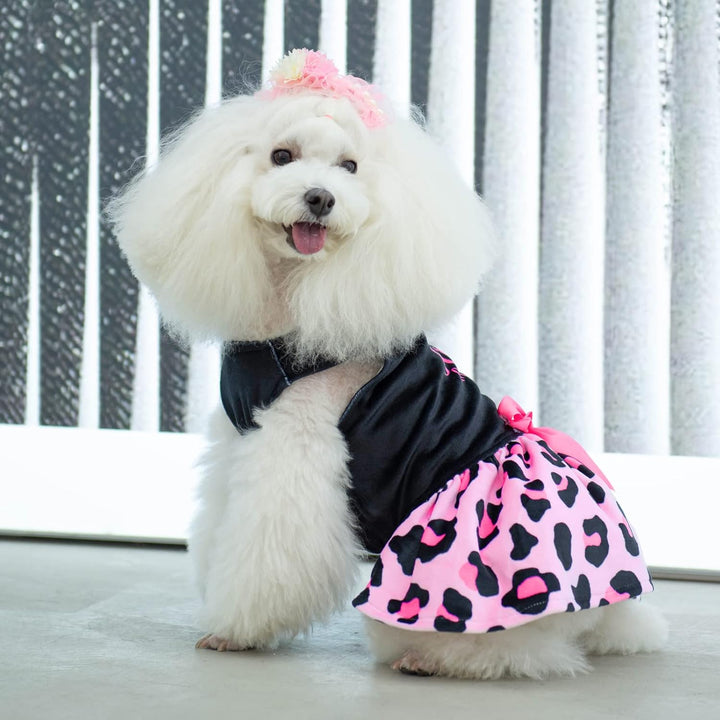 CuteBone Little Miss Sassy Pants Hund Leopardenmuster Kleid Samt für kleine Hunde Mädchen Welpen Kle