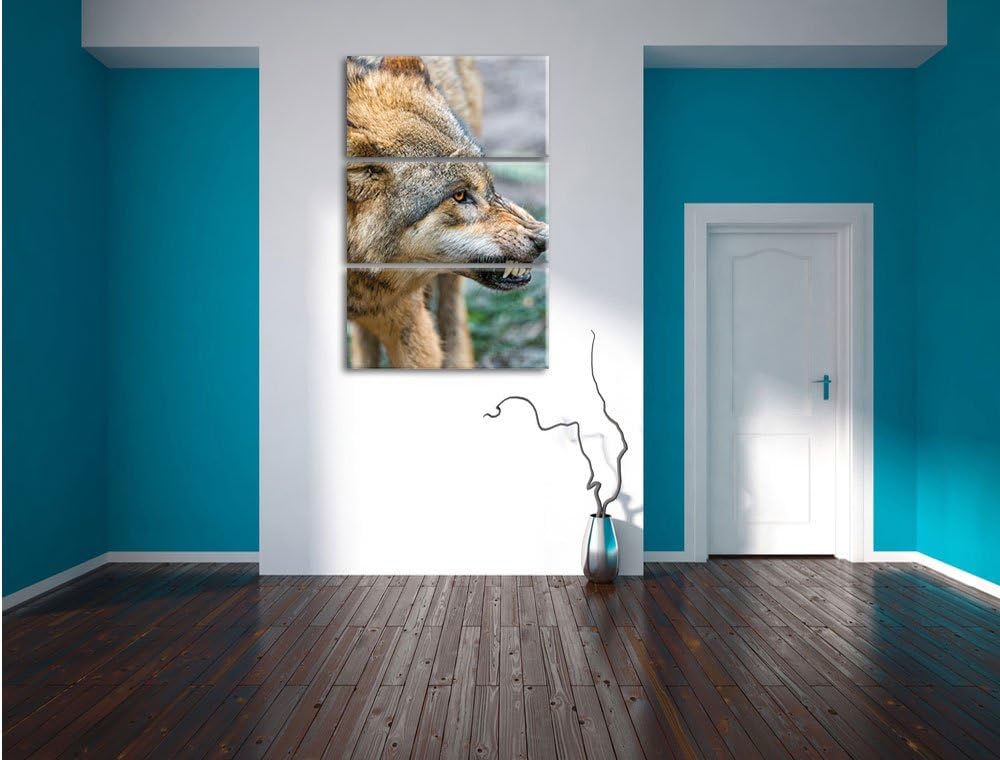 Pixxprint knurrender Wolf 3-Teiler Leinwandbild 120x80 Bild auf Leinwand