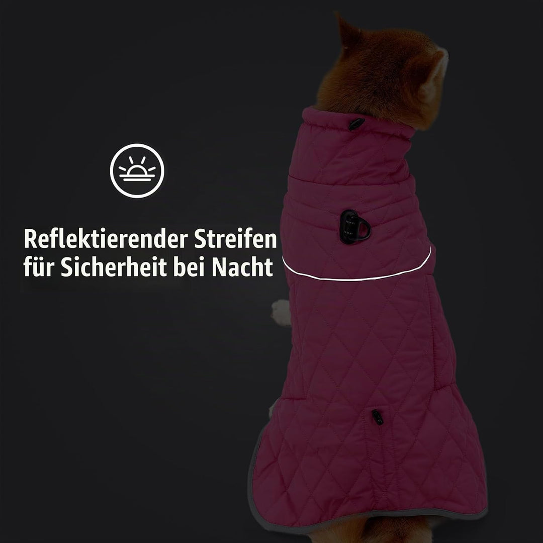 HEYWEAN Hundemantel Winter Wasserdicht Hundejacke mit D-Ring Warm Mantel Hund Fleece Hundepullover R