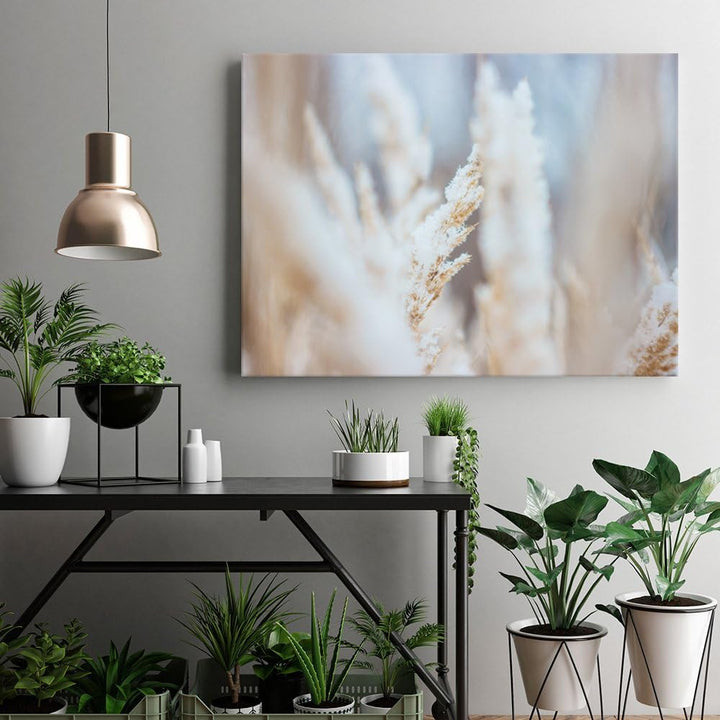 Feeby. Wandbilder - 1 Teilig- 60x80 cm - Bilder Kunstdrucke Deko Panel, GRAS, NATUR, WEIss, 60x80 cm