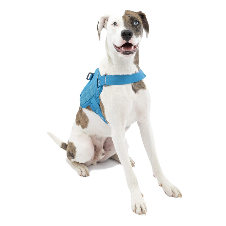 Kurgo RSG Townie Hundegeschirr, Einfaches Anlegen und Abnehmen, Einstellbare Brust- und Bauchgurte,