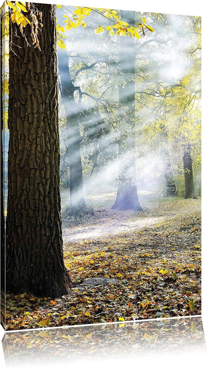 Sonnenstrahlen im Wald, Format: 100x70 auf Leinwand, XXL riesige Bilder fertig gerahmt mit Keilrahme