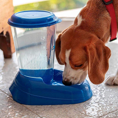 Ferplast Wasserspender für Hunde und Katzen Nadir 3 Liter für kleine und mittlere Hunde, durchsichti