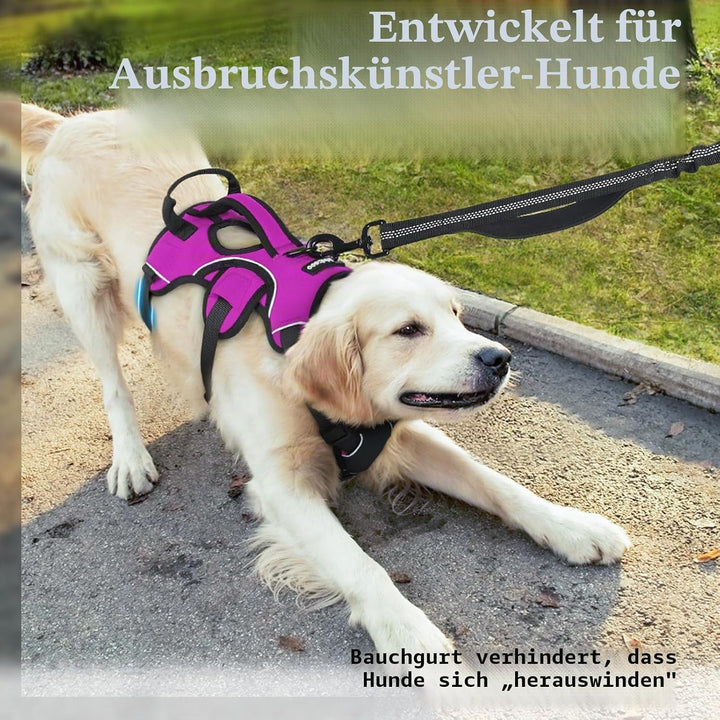 rabbitgoo Ausbruchsichere Hundegeschirr Grosse Hunde mit Griff, Anti Zug Sicherheitsgeschirr Hund At