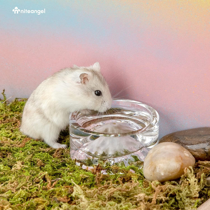 Niteangel Hamster-Futter- und Wasserschalen – Kleine Tier-Trinkschalen aus Glas für Zwerghamster, Wü