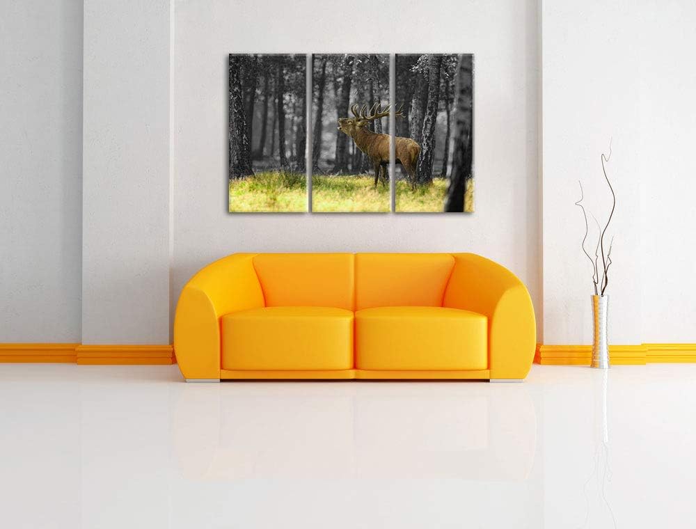 Pixxprint röhrender Hirsch im Wald als Leinwandbild | Grösse: 3 Teilig (120x80) | Wandbild| Kunstdru