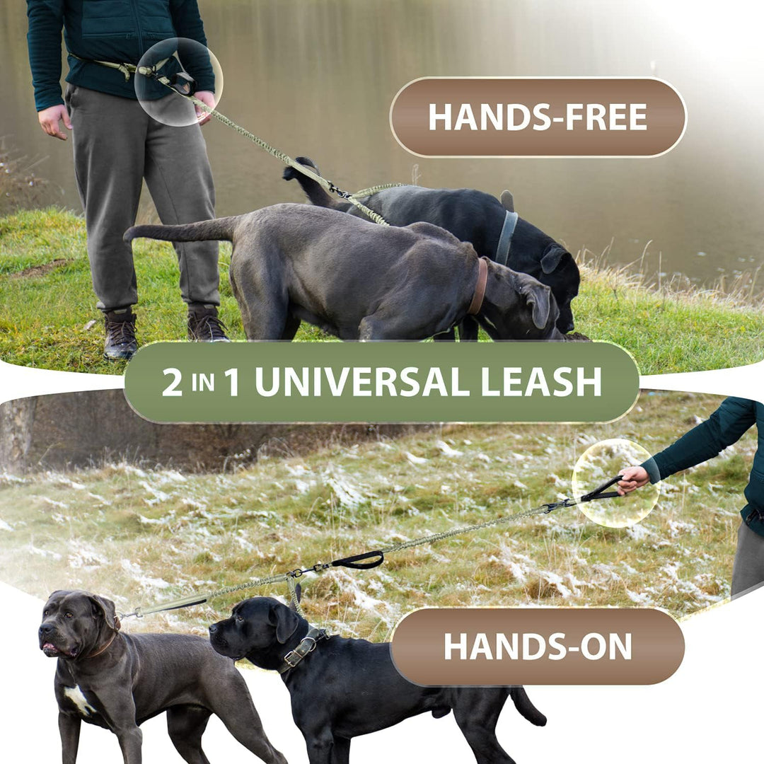 Joggingleine für Hunde zum Laufen, Joggen, Wandern | 2 in 1 Joggingleine und Normale Hundeleine für