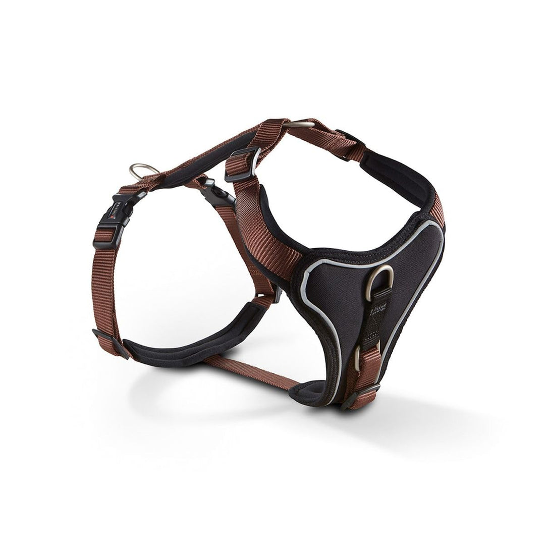 Wolters | Geschirr Professional Comfort in Tabac/Schwarz | Brustumfang 60 - 70 cm, 60 - 70 cm