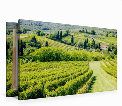 Premium Textil-Leinwand 75 x 50 cm Quer-Format Weinberg bei San Gimignano | Wandbild, HD-Bild auf Ke