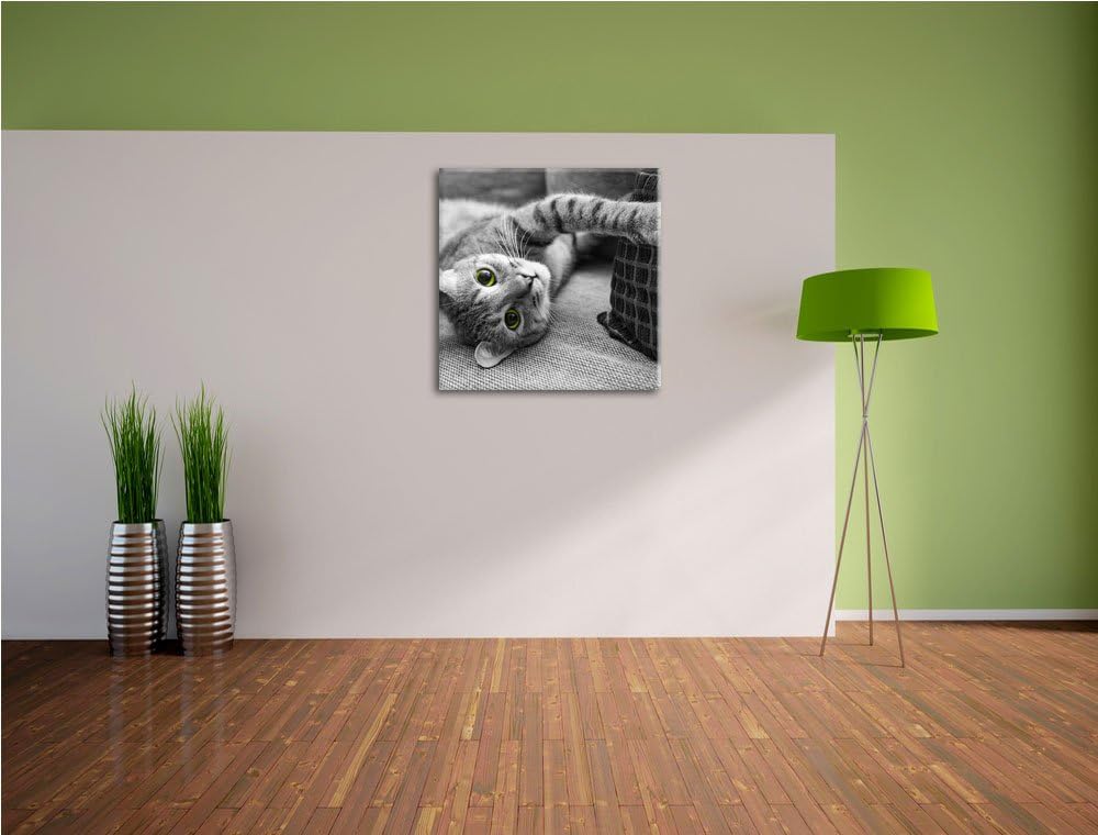 Pixxprint niedliche Katze spielt mit Kissen schwarz/weiss, Format: 70x70 auf Leinwand, 70x70