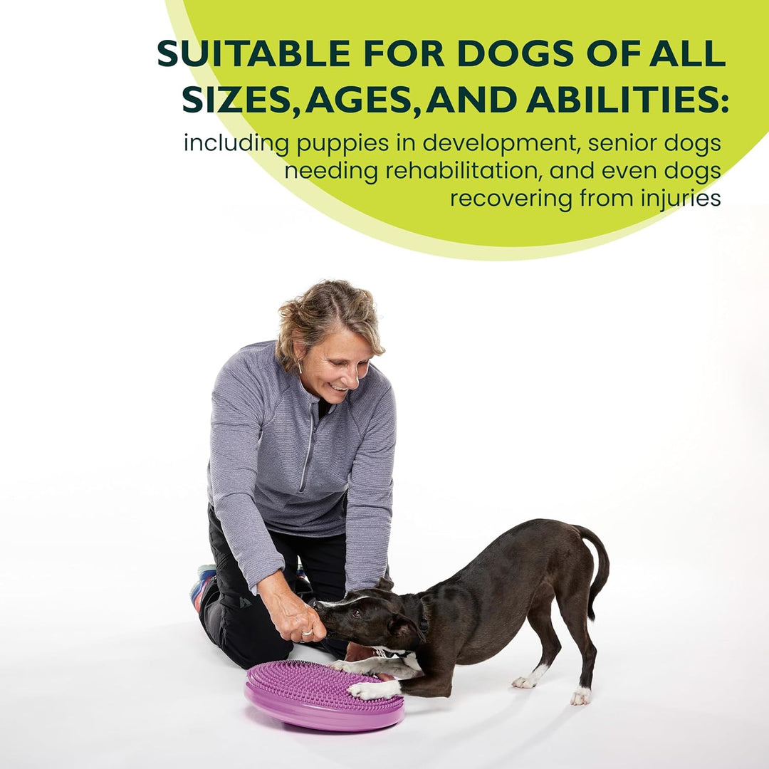 Fitpaws Balance-Disc für Hunde, 14", Violett