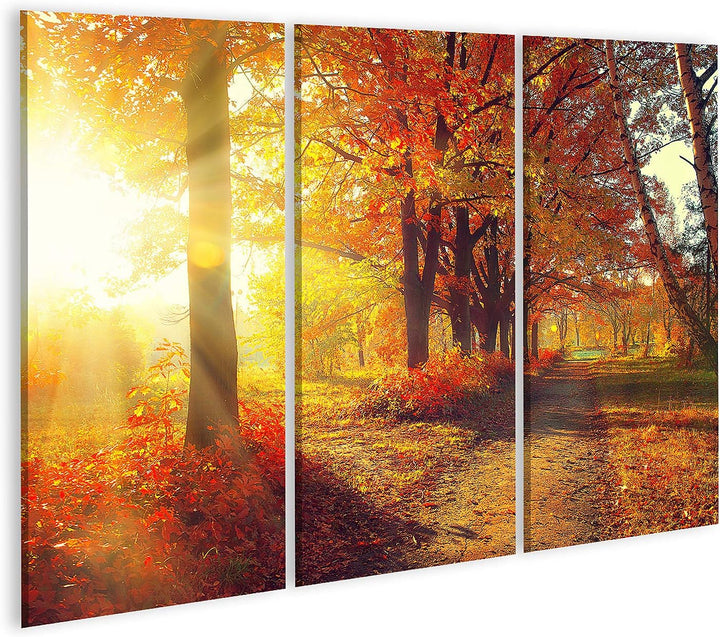 islandburner Bild auf Leinwand Herbst Herbstpark Herbstliche Bäume Und Blätter In Sonnenstrahlen Bil