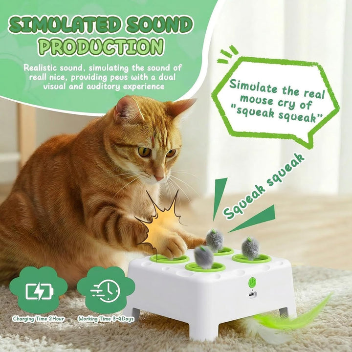 2-in-1 Automatisches Katzenspielzeug, Interaktives Katzenspielzeug, Wiederaufladbares Katzenmaus-Spi