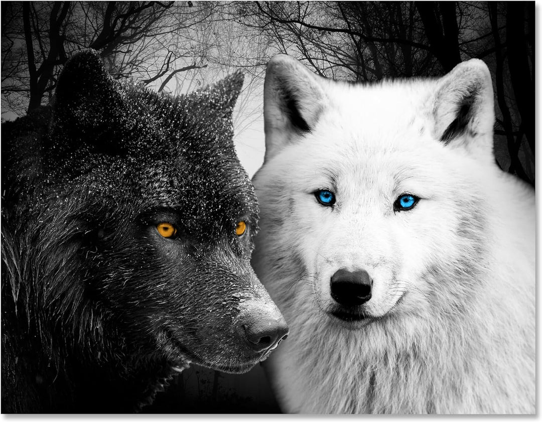 wandmotiv24 Leinwand-Bild Wölfe Schwarz & Weiss, Grösse 40x30cm, Querformat, Wandbilder, Dekoration