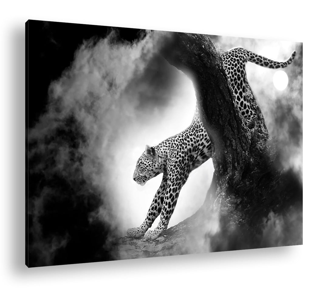 deyoli exotischer Gepard im Mondschein Format:90x60 cm als Leinwandbild, Motiv fertig gerahmt auf Ec