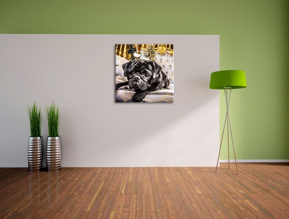 Süsser Mops auf dem Thron, Format: 70x70 auf Leinwand, XXL riesige Bilder fertig gerahmt mit Keilrah