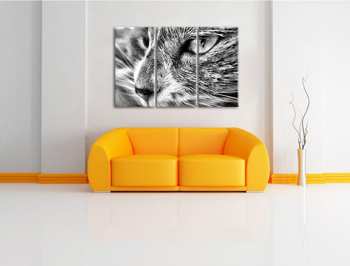 Pixxprint Katze mit blauen Augen als Leinwandbild/Grösse: 3 Teilig (120x80) cm/Wandbild/Kunstdruck/f