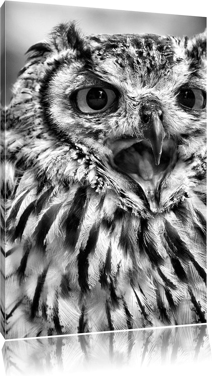 Pixxprint grosse Waldeule gähnt als Leinwandbild | Grösse: 100x70 | Wandbild| Kunstdruck | fertig be