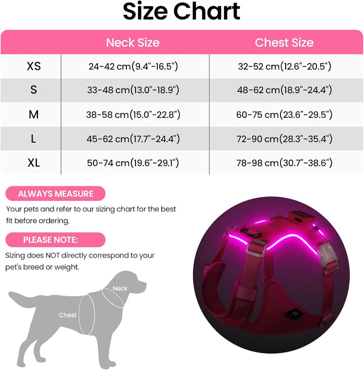 Light Up Dog Hundegeschirr Leuchtend LED Aufladbar - Leuchtgeschirr Leuchtend für Klein Mittelgrosse