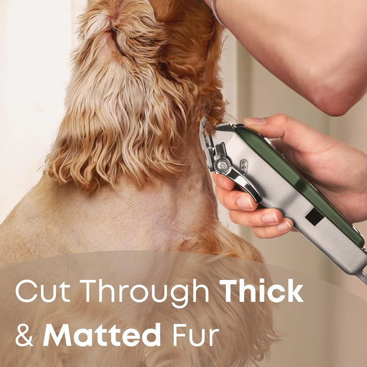 Freshly Bailey Katzen- und Hundeschermaschine für die Fellpflege, perfekt für mattiertes Haar und di