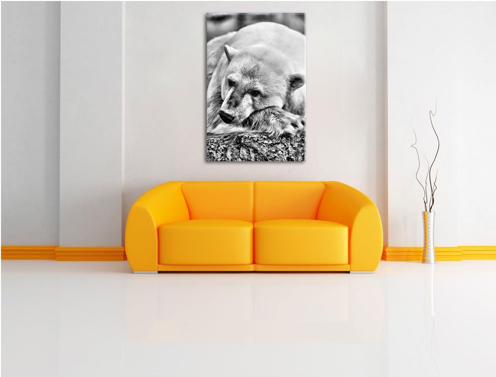 Pixxprint schlafender Eisbär / 100x70cm Leinwandbild bespannt auf Holzrahmen/Wandbild Kunstdruck Dek