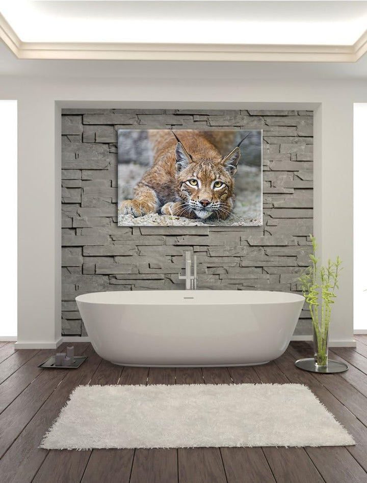 Pixxprint wachsamer Luchs auf Leinwand, XXL riesige Bilder fertig gerahmt mit Keilrahmen, Kunstdruck