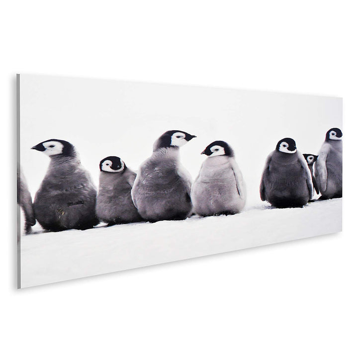 islandburner Bild auf Leinwand Junge Pinguine Baby Junge Pinguine Baby Eissonne Bilder Wandbilder Po