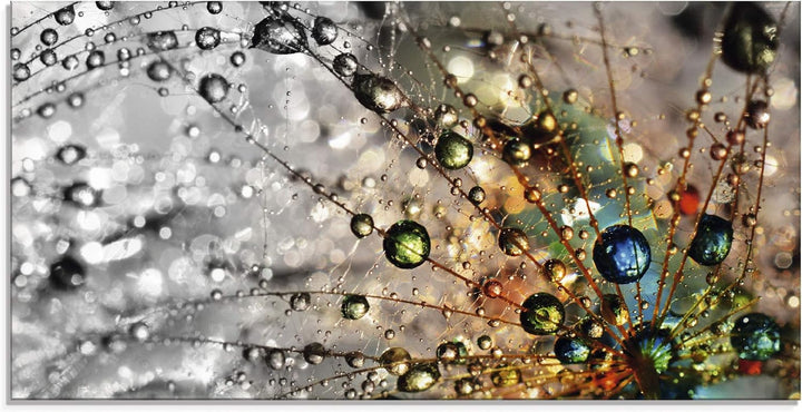 Glasbilder Wandbild Glas Bild einteilig 100x50 cm Querformat Natur Botanik Blumen Pusteblume Frühlin