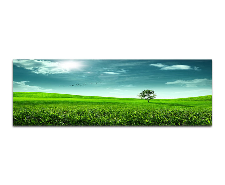 Paul Sinus Art Panoramabild auf Leinwand und Keilrahmen 150x50cm Wiese Hügel Baum Sonne Vögel abstra