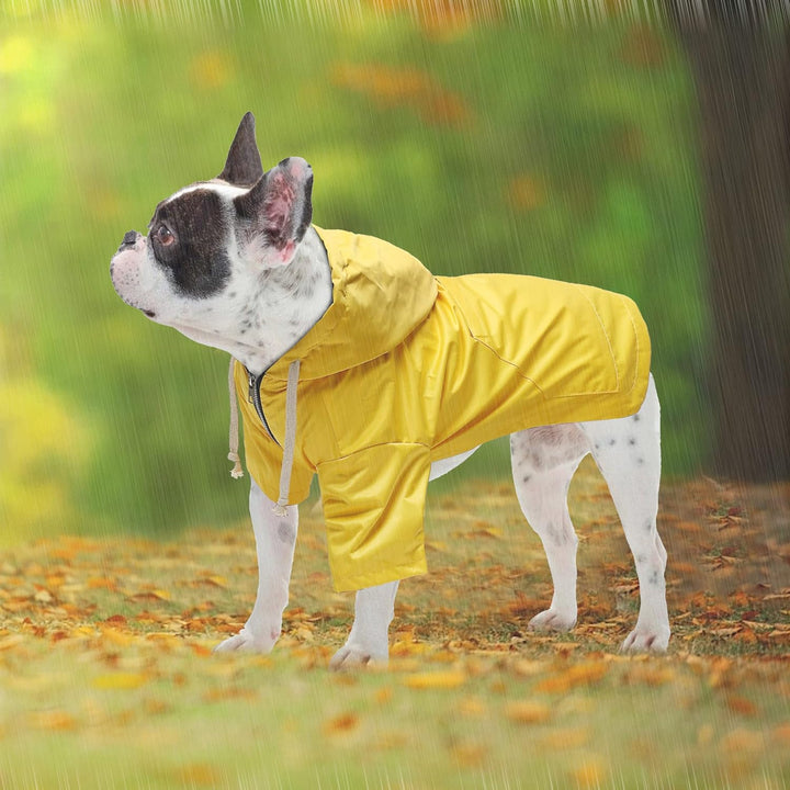 Pethiy Premium hunderegenmantel,Wasserdicht Hundemantel mit Kapuze Hundebekleidung Hunde Regenjacken