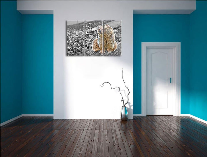 niedlicher Grizzly auf Stein schwarz/weiss Deluxe 3-Teiler Leinwandbild 120x80 Bild auf Leinwand, XX