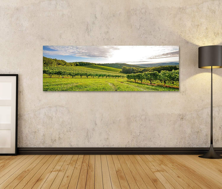 islandburner Bild auf Leinwand Weinberge Sonne Vor Der Ernte Europa Bilder Wandbilder Poster Leinwan