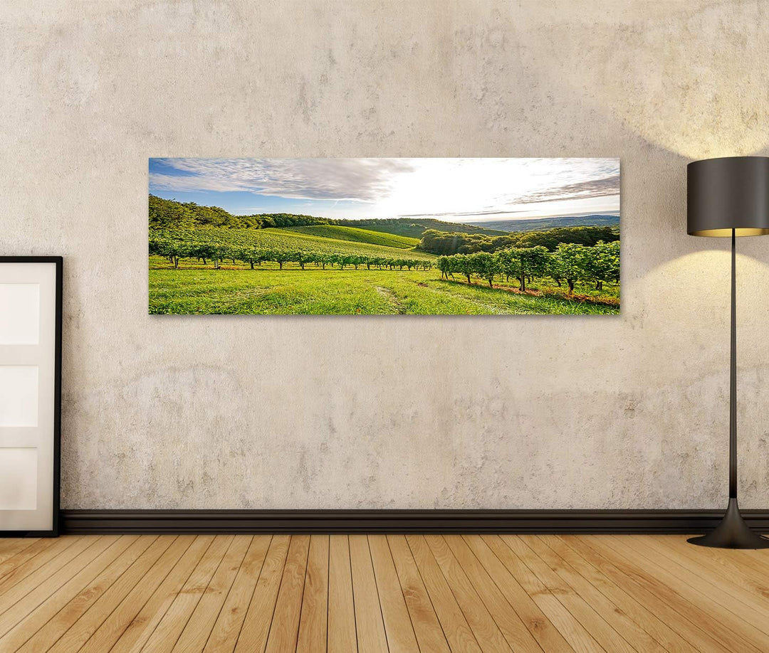 islandburner Bild auf Leinwand Weinberge Sonne Vor Der Ernte Europa Bilder Wandbilder Poster Leinwan