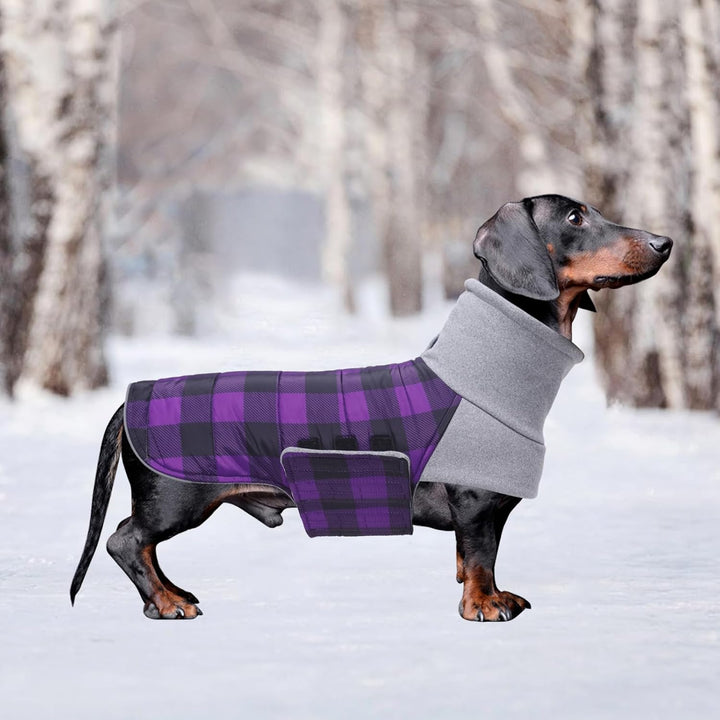 Geyecete Dackel Mantel Winter, Warmer Hunde wintermantel,wasserdichter Hundemantel mit Leinenloch,Hu