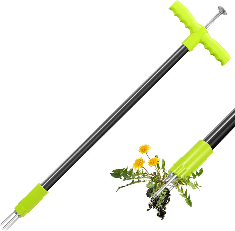 ORIENTOOLS Unkrautstecher, unkrautstecher löwenzahn, Unkrautentferner mit 3 Stahlkrallen, Stahlgriff