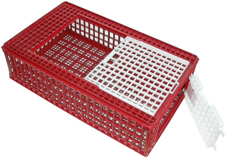 Kerbl 73100 Geflügel-Transportbox PVC
