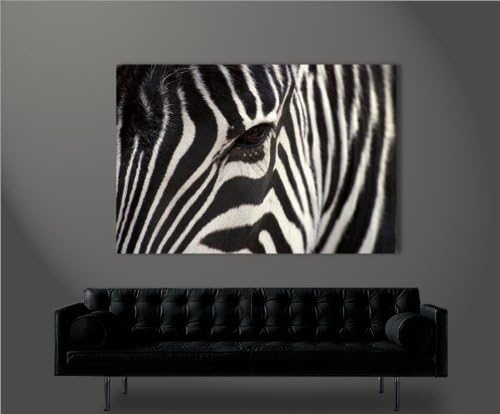 islandburner Bild Bilder auf Leinwand Zebra V2-1p XXL Poster Leinwandbild Wandbild Dekoartikel Wohnz