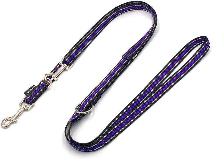 Hundeleine Doppelleine verstellbar 2m / 2,40m / 2,80m / 3,50m / 5m grosse Hunde 20mm/25mm (Boston (S