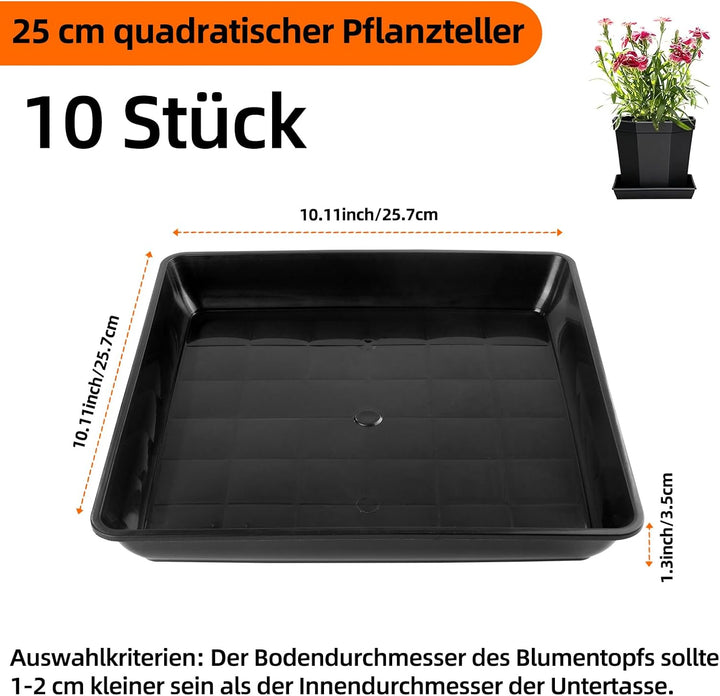 10 Stück Quadratische Pflanzen- Blumentopf-Teller – Keine Löcher, Robuster Kunststoff für Innen-/Aus