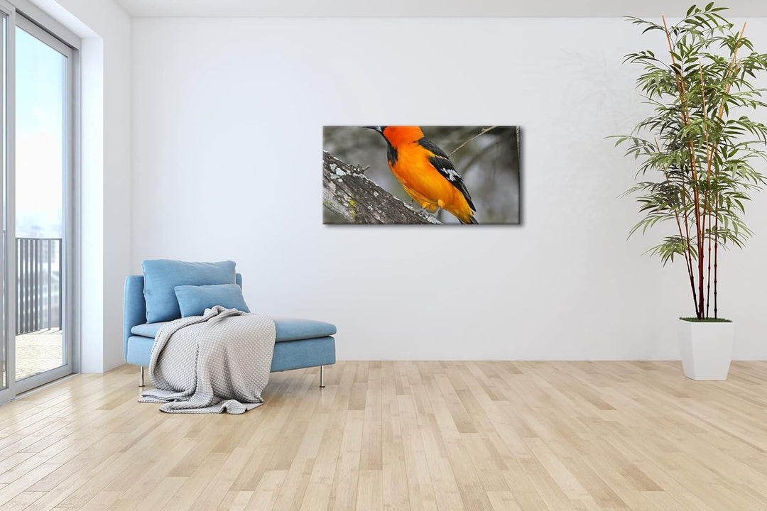 Anmutiger Vogel Panorama 120x60 cm als Leinwandbild, Motiv fertig gerahmt auf Echtholzrahmen, Hochwe
